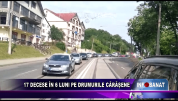 17 DECESE ÎN 6 LUNI PE DRUMURILE CĂRĂȘENE