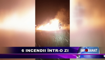 6 INCENDII ÎNTR-O ZI