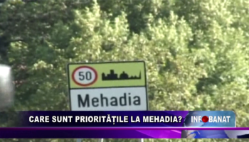 CARE SUNT PRIORITĂȚILE LA MEHADIA