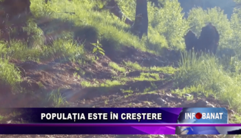 Populația este în creștere