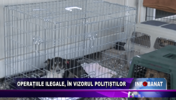 Operațiile ilegale, în vizorul polițiștilor