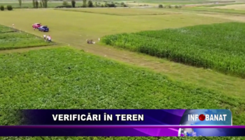 Verificări în teren