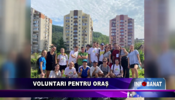 Voluntari pentru oraș