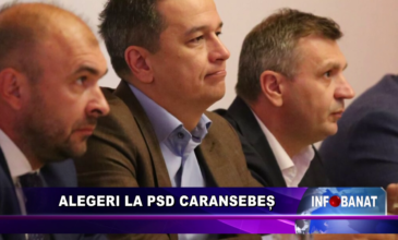 Alegeri la PSD Caransebeș