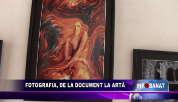 Fotografia, de la document la artă