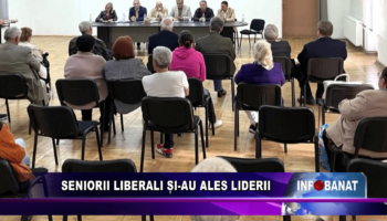 Seniorii liberali și-au ales liderii