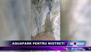 Aquapark pentru mistreți