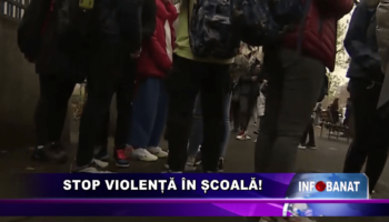 Stop violență în școală!