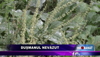 Dușmanul nevăzut