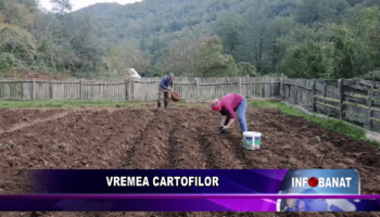 Vremea cartofilor