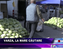 Varza, la mare căutare