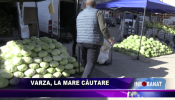 Varza, la mare căutare