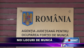 Noi locuri de muncă