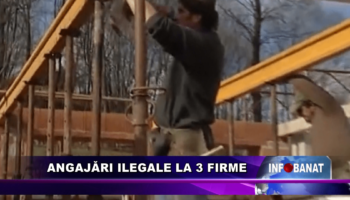 Angajări ilegale la 3 firme