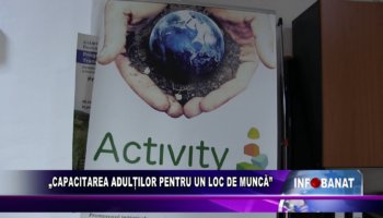 Capacitarea adulților pentru un loc de muncă