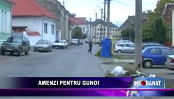 Amenzi pentru gunoi