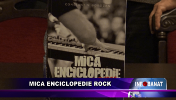 Mica enciclopedie rock