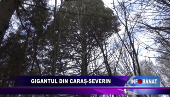 Gigantul din Caraș-Severin