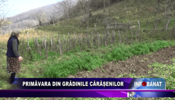 Primăvara din grădinile cărășenilor