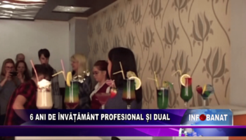 6 ani de învățământ profesional și dual