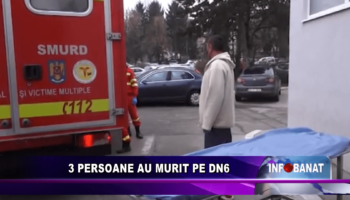 3 persoane au murit pe DN 6