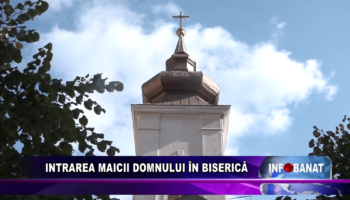 Intrarea Maicii Domnului în Biserică