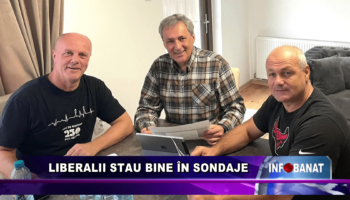 Liberalii stau bine în sondaje