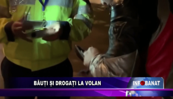 Băuți și drogați la volan