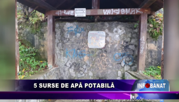 5 surse de apă potabilă