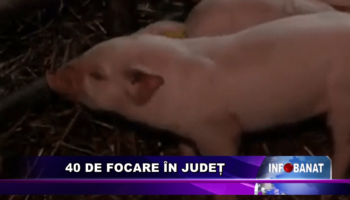 40 de focare în județ