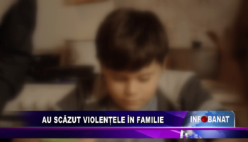 Au scăzut violențele în familie