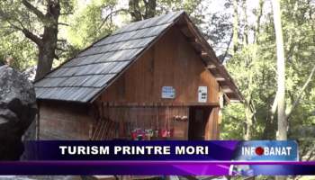 Turism printre mori