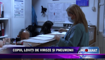 Copiii, loviți de viroze și penumonii