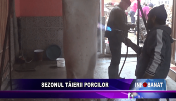 Sezonul tăierii porcilor