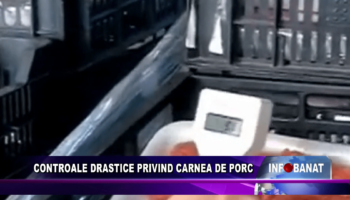 Controale drastice privind carnea de porc