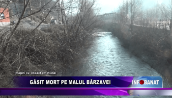 Găsit mort pe malul Bârzavei