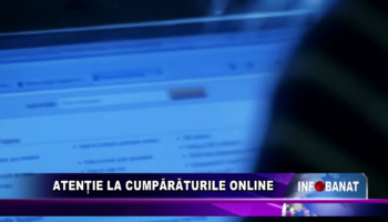 Atenție la cumpărăturile online