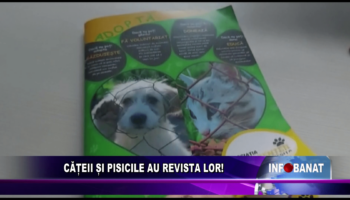 Cățeii și pisicile au revista lor!