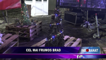 Cel mai frumos brad