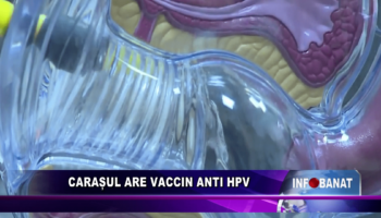 Carașul are vaccin anti HPV