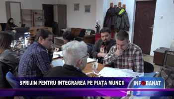 Sprijin pentru integrarea pe piața muncii