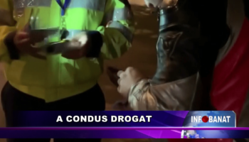 A condus drogat