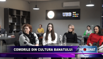 Comorile din cultura Banatului