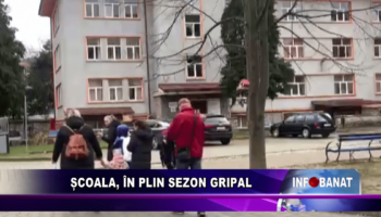 Școala, în plin sezon gripal