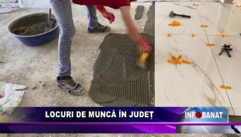 Locuri de muncă în județ