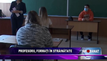 Profesorii, formați în străinătate