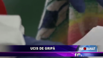 Ucis de gripă