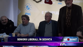 Seniorii liberali, în ședință