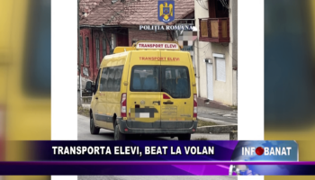 Transporta elevi, beat la volan