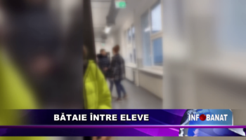 Bătaie între eleve